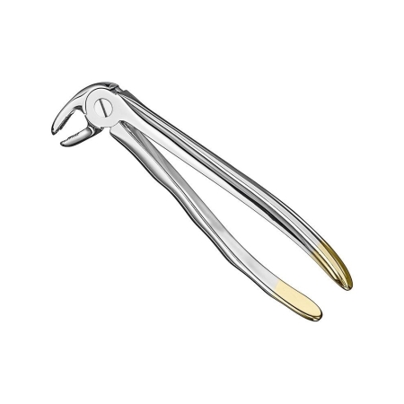 Extracting forceps, anat.